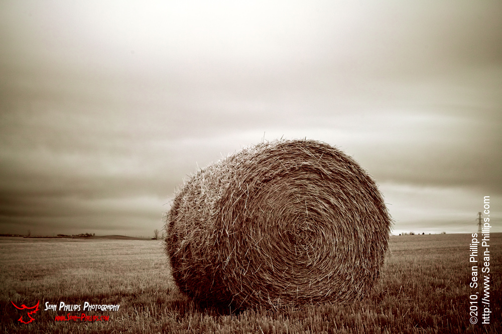 Round Bale in a Field